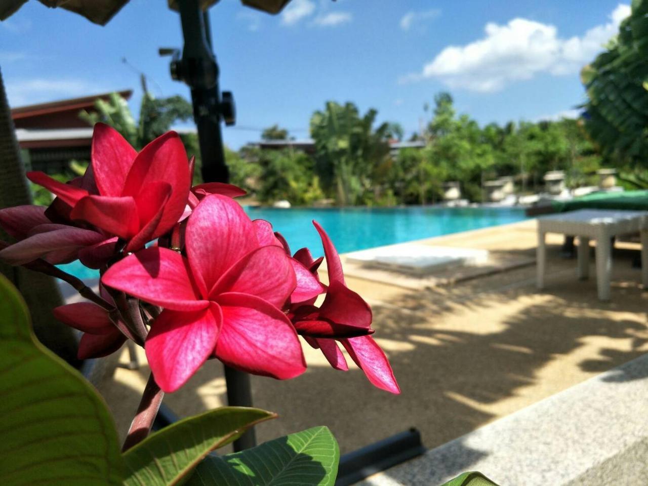 Arthaya Villas - Sha Extra Plus Ko Lanta Exterior foto
